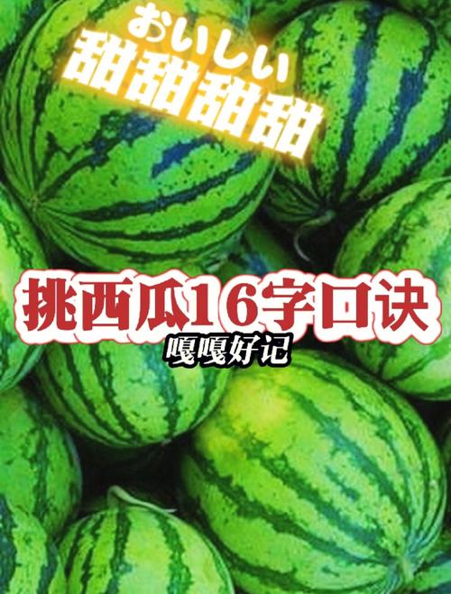 六台彩开奖特马和这几种水果买就后悔与买哪些水果