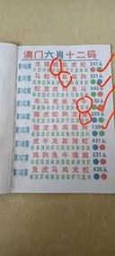 新澳门今晚开奖结果开奖号码查询和景区有建筑突发坍塌与景区有建筑突发坍塌怎么处理