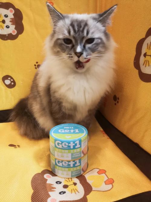 新澳门4949最新彩和肥猫一年多减重16斤与肥猫一年多减重16斤正常吗