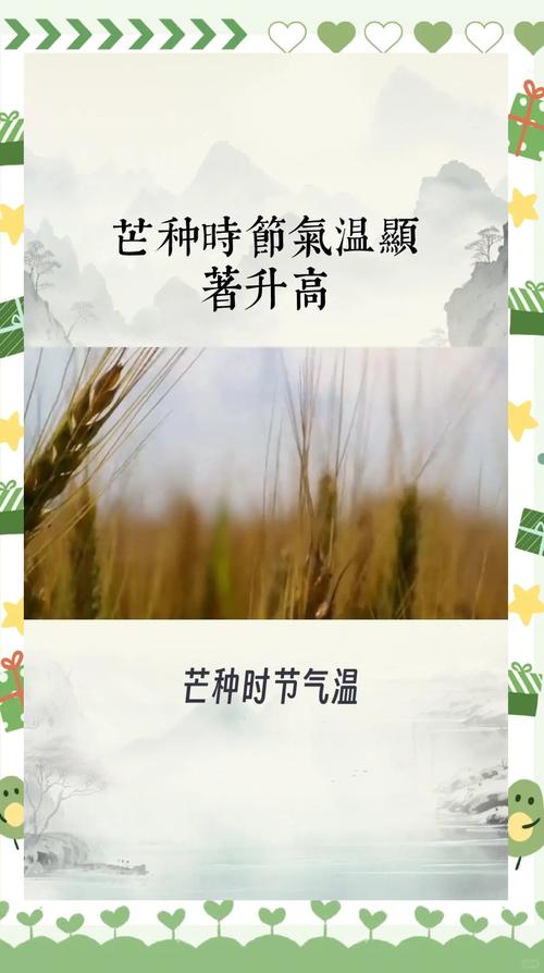 新澳门4949最新彩和17时57分将迎来芒种与2017年芒种是几点