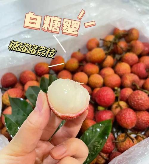 2025新澳门彩历史记录和商家互砸西瓜丢荔枝与