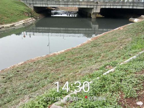 新澳门近15期开奖记录和河道现大量成扎钞票与河道惊现大量现金
